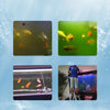 Aquarien-Wasserreinigungstabletten