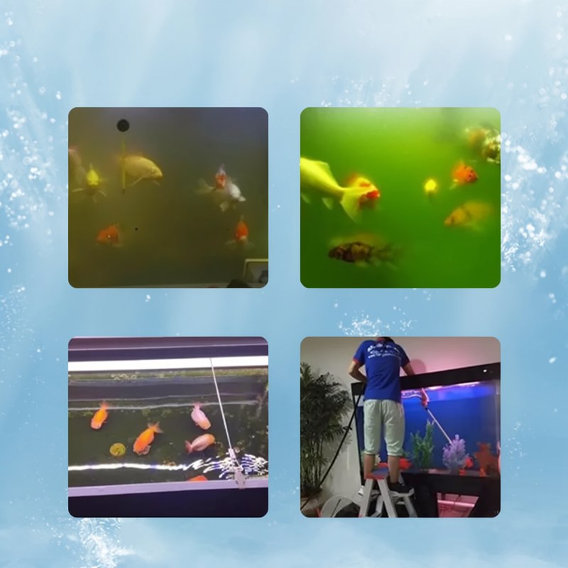 Aquarien-Wasserreinigungstabletten