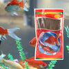Nourriture pour Poissons Rouges et Poissons Tropicaux Enrichie à la Spiruline