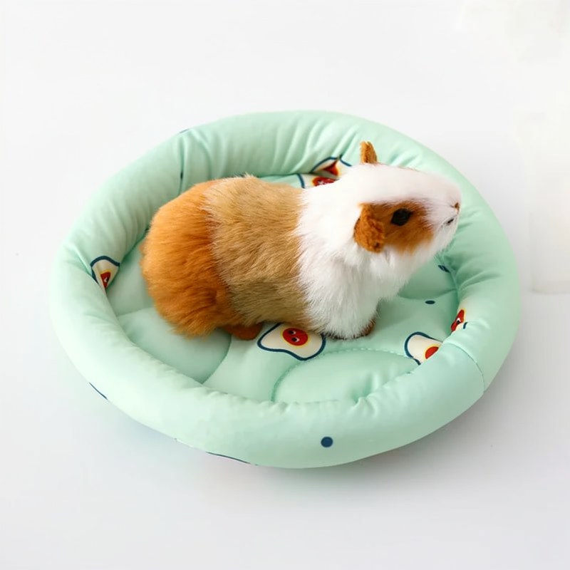 Niche Douce pour Petit Animal