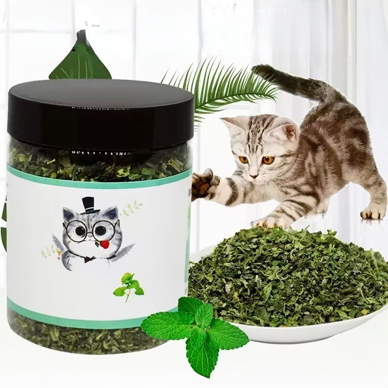 Juguete de Catnip y Menta Orgánicos para Gatos