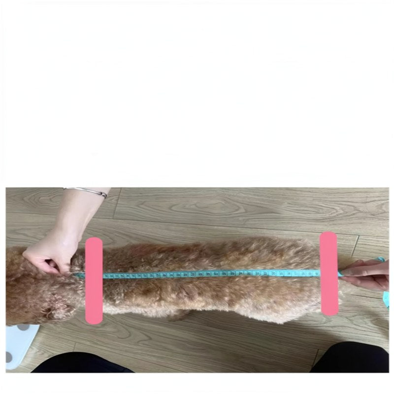 Bolsa de Hombro para Mascotas Ligera