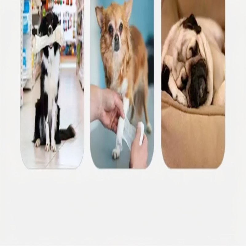 Bolsa de Hombro para Mascotas Ligera
