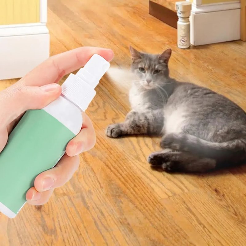 Spray Répulsif Anti-Grattage aux Agrumes Naturels pour Chats