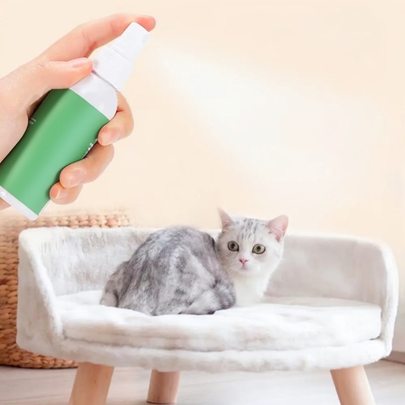 Spray Anti-Griffonnage Naturel pour Chats