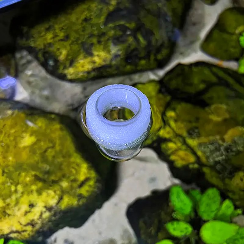 Taza de Alimentación de Acrílico Transparente para Acuario