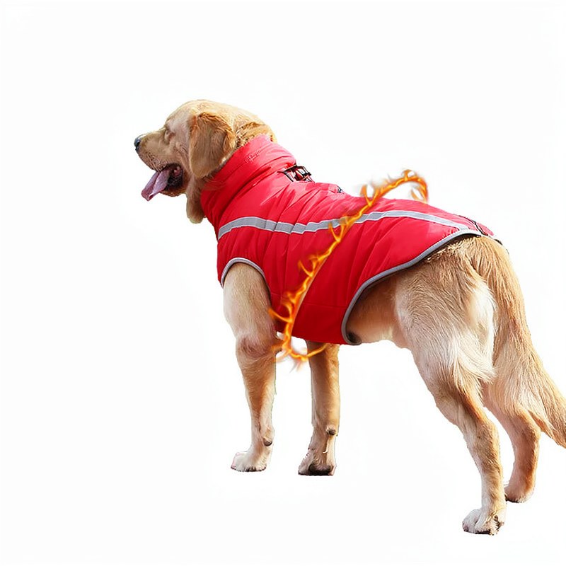 Abrigo impermeable acolchado para perro con detalles reflectantes