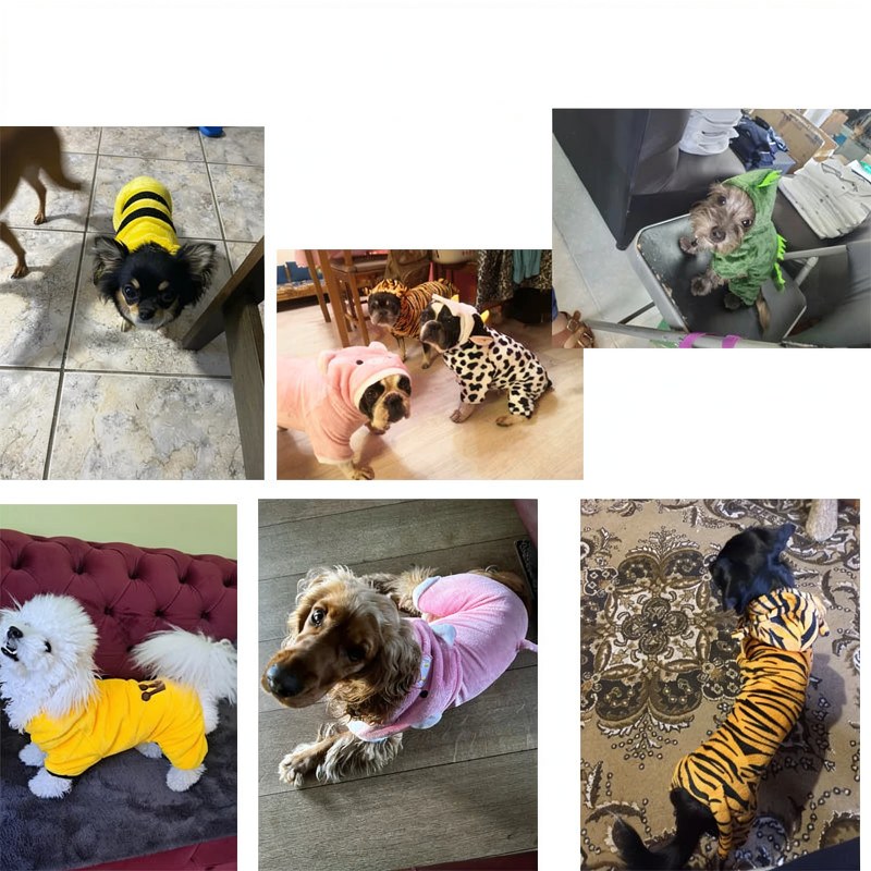 Mono con Capucha de Forro Polar para Mascota