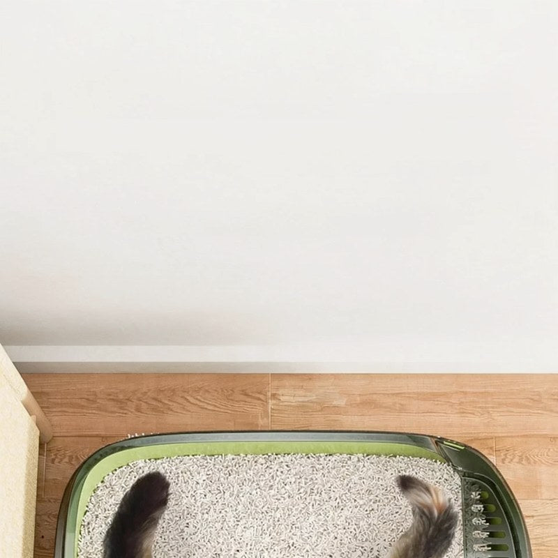 Halboffenes Katzenstreu-Box mit hohen Wänden