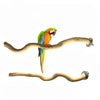 A vibrant green and orange parrot perched on a natural wood bird perch and chew toy.