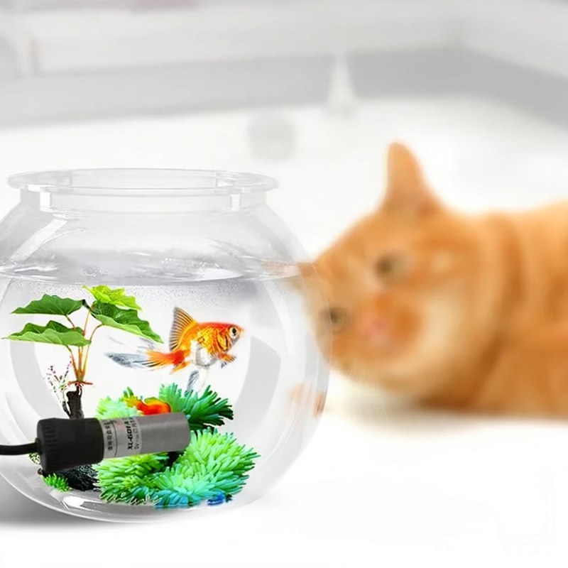 Chauffe-eau d'aquarium USB compact avec affichage numérique