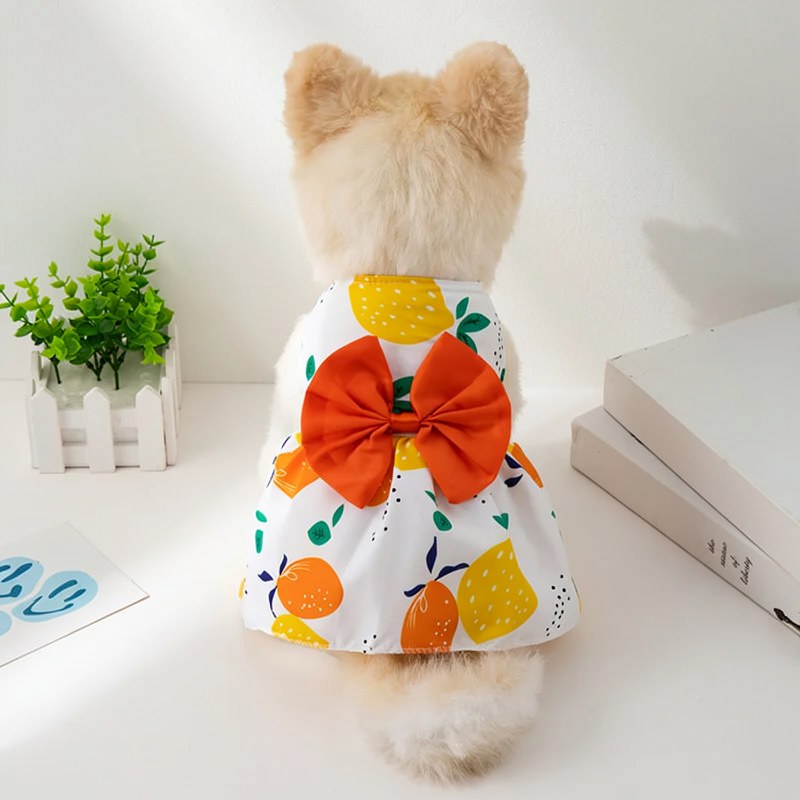 Vestido de Princesa Floral para Perros Pequeños