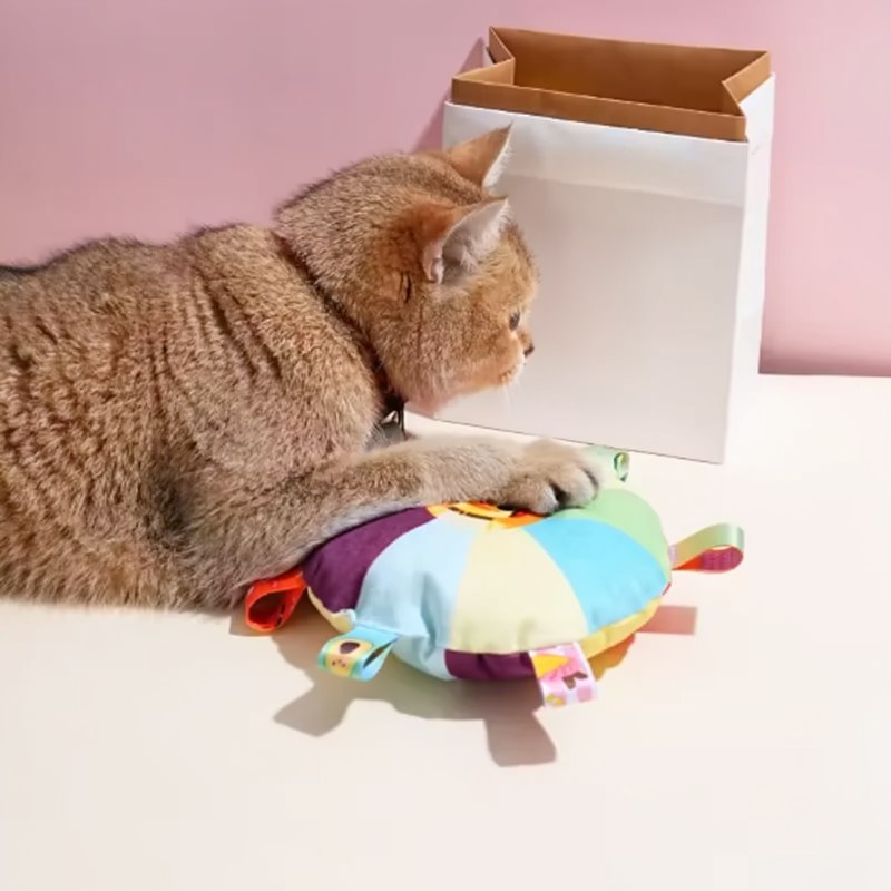 Ein flauschiger oranger Kater liegt neben einem interaktiven Plüschhundball mit einer Glocke auf einer weißen Box.