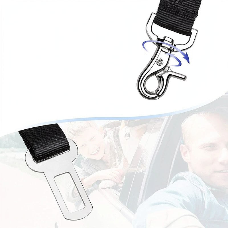 Gros plan d'une ceinture de sécurité pour voiture d'animal réglable avec boucle élastique amortissante.