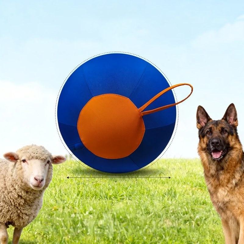 Großer aufblasbarer Hundespielball