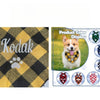 Custom Name Plaid Cotton Dog Bandana