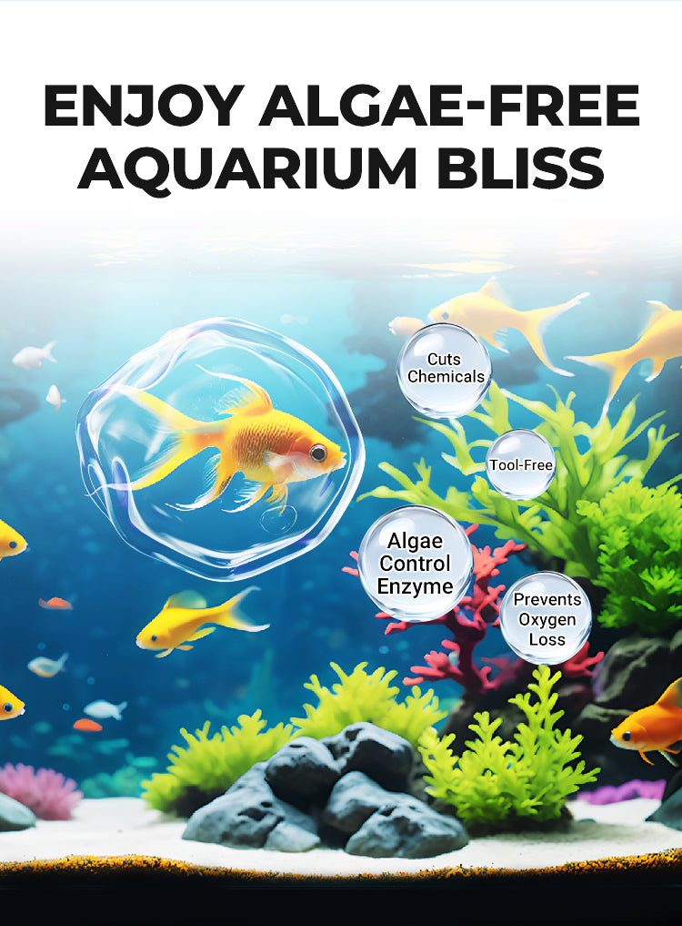 A product image promoting algae-free aquarium bliss, featuring a yellow fish in a clear sphere and various aquatic plants.