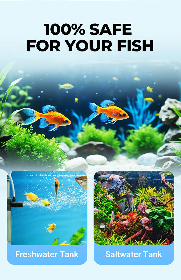 Image showing colorful fish in both freshwater and saltwater tanks, emphasizing safe aquarium care.